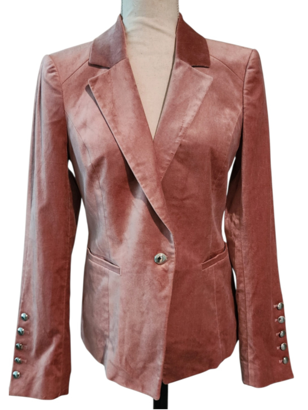 White House Black Market 6 Dusty Rose Pink Velvet Blazer Single Button Silver